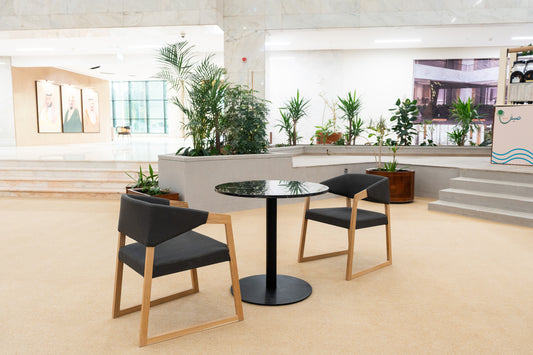 Modern indoor seating area with black cushioned chairs and black round table, surrounded by indoor plants and marble finishes – Ministry interior with portraits and signage in the background – منطقة جلوس داخلية عصرية بكراسي مبطنة سوداء وطاولة دائرية سوداء، محاطة بالنباتات الداخلية والتشطيبات الرخامية – ديكور داخلي للوزارة مع صور شخصية ولافتات في الخلفية 32