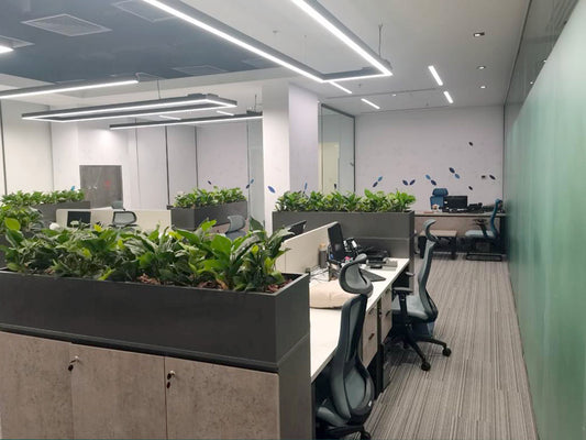 Modern workstation area at Saudi Development Bank in Riyadh, featuring ergonomic office chairs, executive desks, and integrated green dividers. A sustainable and inspiring environment by the Top Interior Designer in Riyadh and furnished by the Top Office Furniture Supplier in Riyadh.
منطقة عمل عصرية في بنك التنمية السعودي بالرياض، بتصميم مستدام وكراسي مريحة ومكاتب تنفيذية، من تنفيذ أفضل مصمم داخلي في الرياض وتأثيث أفضل شركة أثاث مكتبي في الرياض. 3