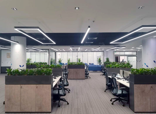 بنك التنمية الاجتماعية 5